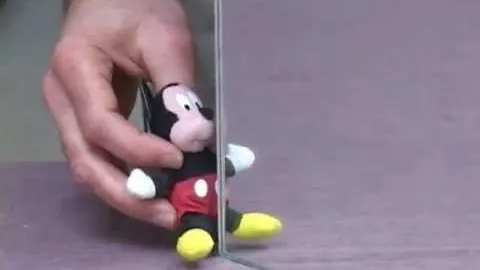 Mirror and Mickey